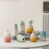 O1CN01HPfjwa1PbvnAUzNYD_2220317601860-0-cib.jpg Mini Gradient Ceramic Vase - Creative Living Room Wine Cabinet Dried Flower Desktop Decoration