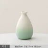 O1CN01IJufC61PbvnC9XDJV_2220317601860-0-cib.jpg Mini Gradient Ceramic Vase - Creative Living Room Wine Cabinet Dried Flower Desktop Decoration