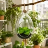 Mini Succulent Glass Hanging Bottle - Creative DIY Hanging Micro Landscape Terrarium Living Room Decoration