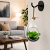 Mini Succulent Glass Hanging Bottle - Creative DIY Hanging Micro Landscape Terrarium Living Room Decoration
