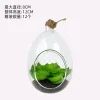 Mini Succulent Glass Hanging Bottle - Creative DIY Hanging Micro Landscape Terrarium Living Room Decoration