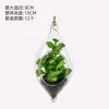 Mini Succulent Glass Hanging Bottle - Creative DIY Hanging Micro Landscape Terrarium Living Room Decoration