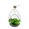 Mini Succulent Glass Hanging Bottle - Creative DIY Hanging Micro Landscape Terrarium Living Room Decoration