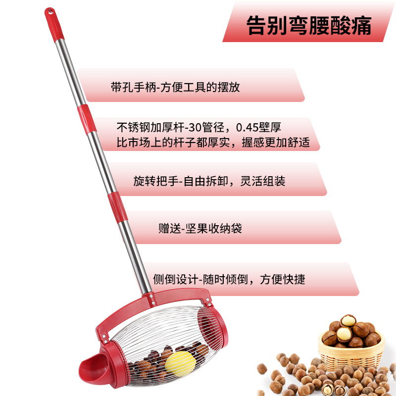 Fruit Nut Collector Pickup Tool - 1.2m Stainless Steel Garden Nut Gatherer for Walnuts Chestnuts Golf Balls