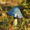 Simulation Garden Mushroom Ornament - Resin Fairy Garden Miniature Decor