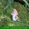 Simulation Garden Mushroom Ornament - Resin Fairy Garden Miniature Decor