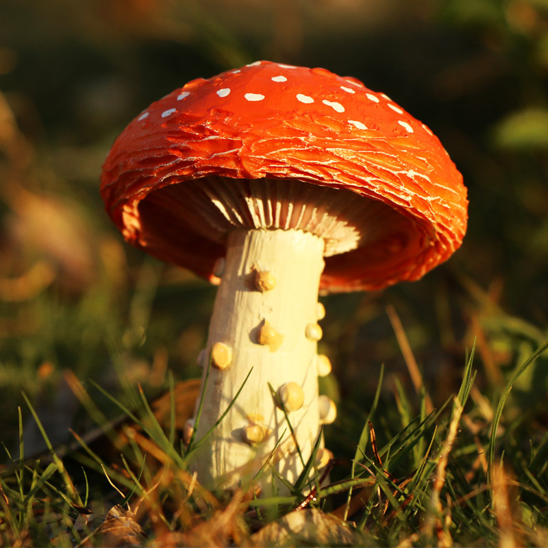 Simulation Garden Mushroom Ornament - Resin Fairy Garden Miniature Decor