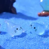 Cross-border Hot Micro Landscape Glowing Seal Fish Tank Aquarium DIY Decoration Accessories Cute Desktop Ornament