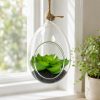 Living Room Creative Decorative Ornament - Home Decor Accessory