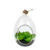 Living Room Creative Decorative Ornament - Home Decor Accessory