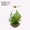 Living Room Creative Decorative Ornament - Home Decor Accessory